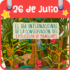 26 de julio. El día Internacional de las Conservación del Ecosistema de Manglares 