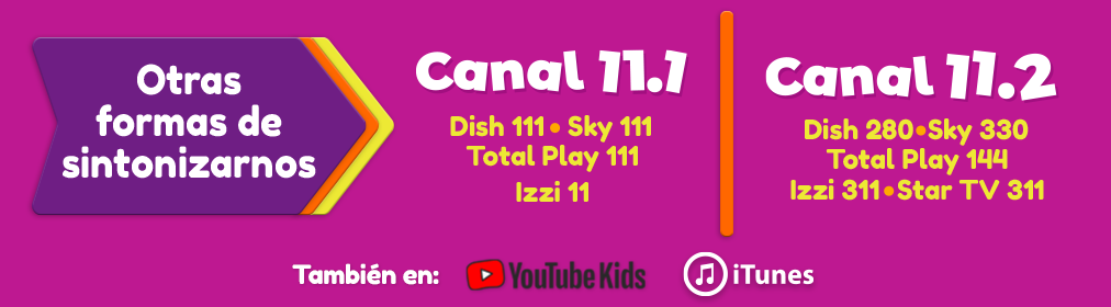 Canal 11.1 y Canal 11.2