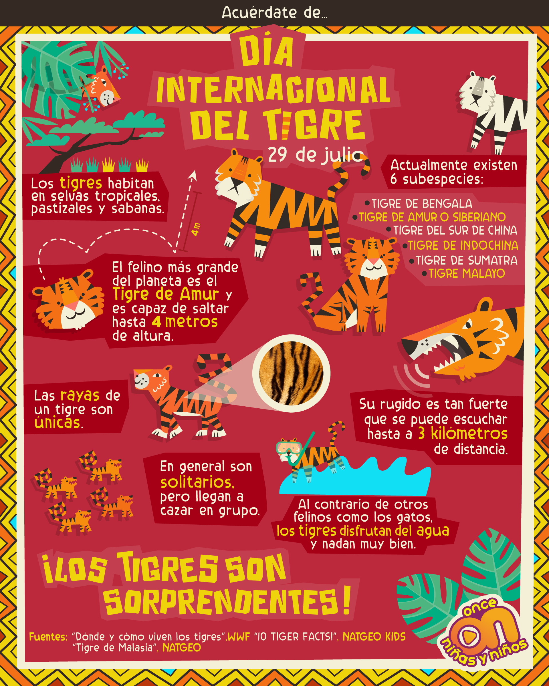Acuérdate de... 
Día Internacional del Tigre
Once Niñas y Niños 
