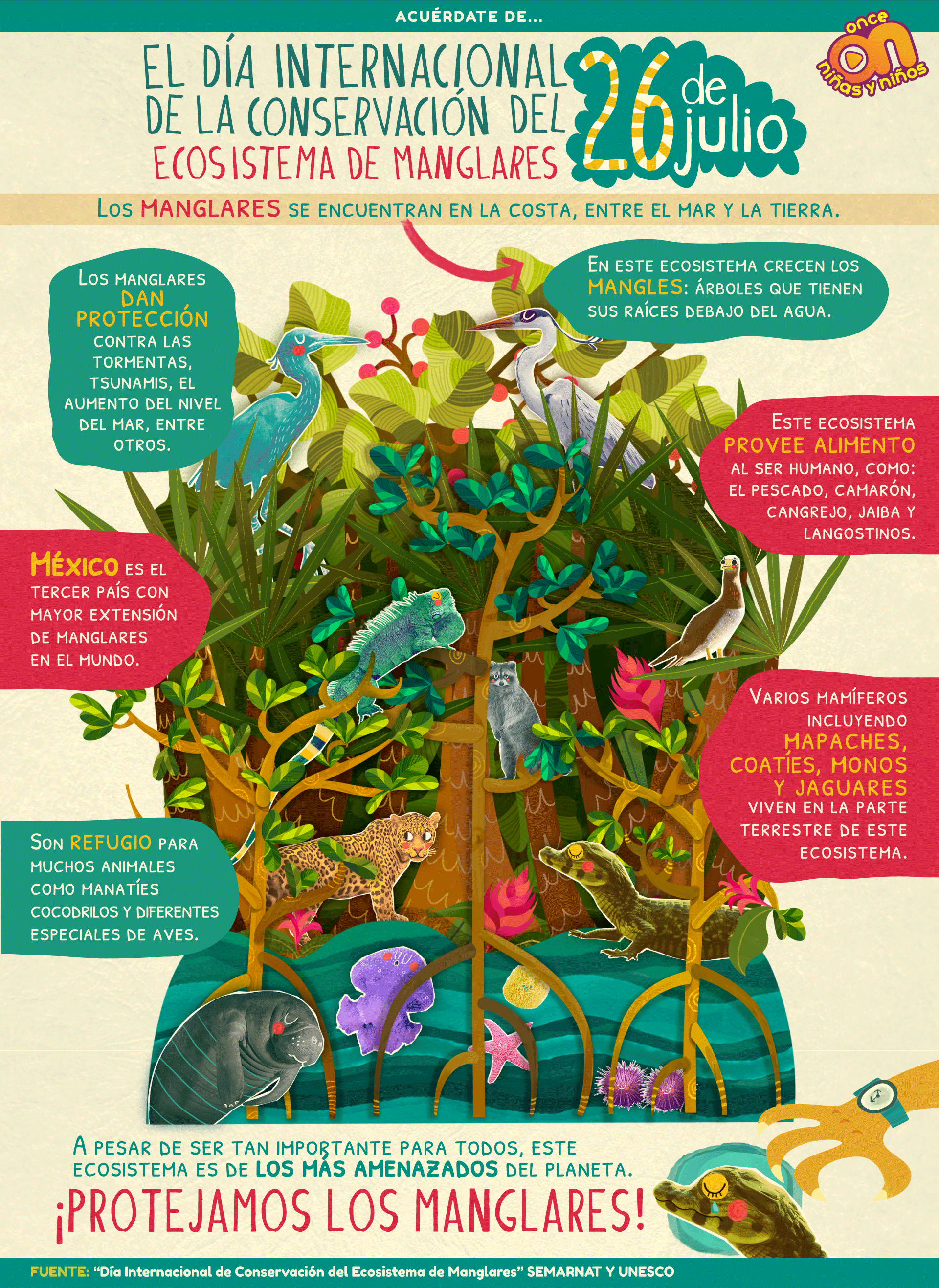 Acuérdate de... 
Día Internacional de la conservación de los manglares. 
Once Niñas y Niños