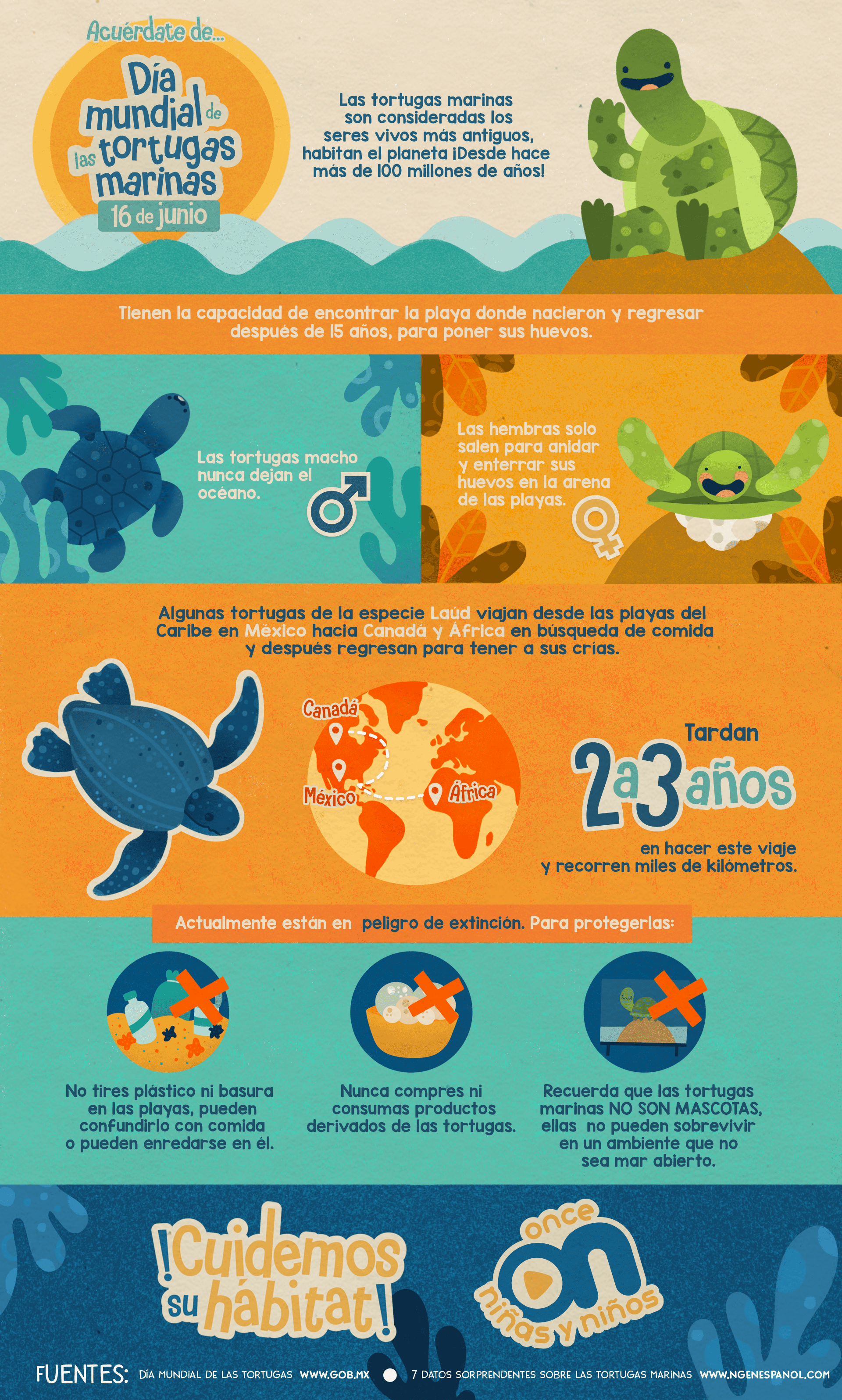 Acuérdate de...
Día Mundial de las tortugas marinas
16 de junio 
Once Niñas y Niños 
